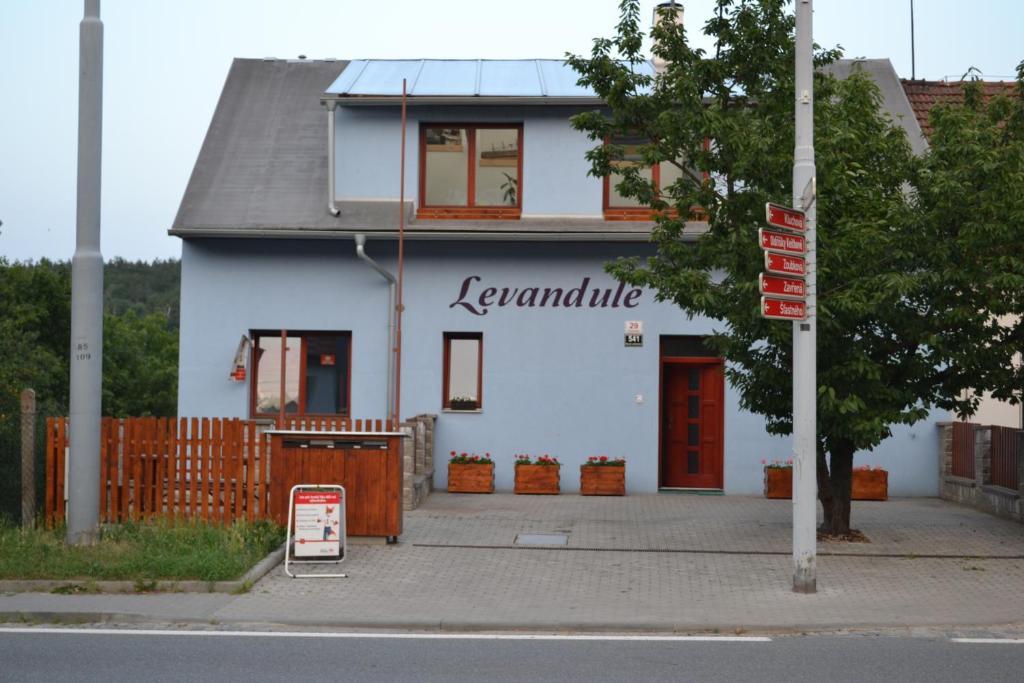 Levandule Brno Bagian luar foto