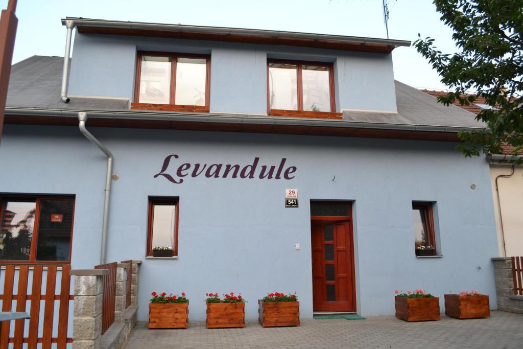 Levandule Brno Bagian luar foto