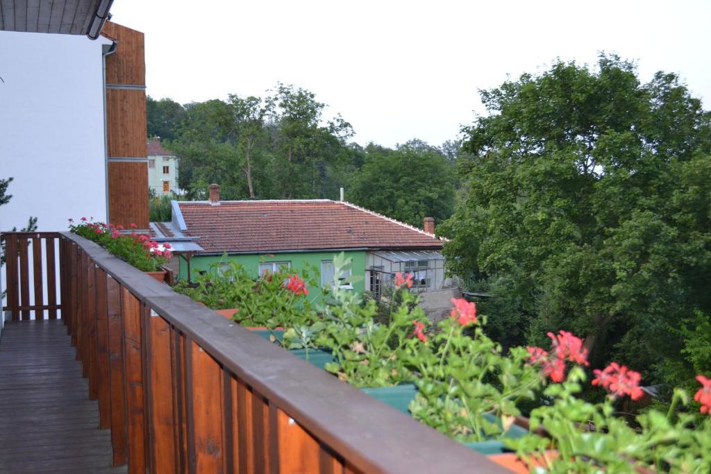 Levandule Brno Bagian luar foto