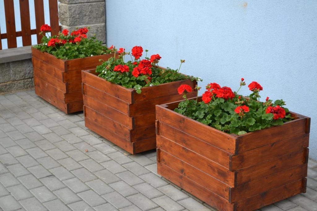 Levandule Brno Bagian luar foto