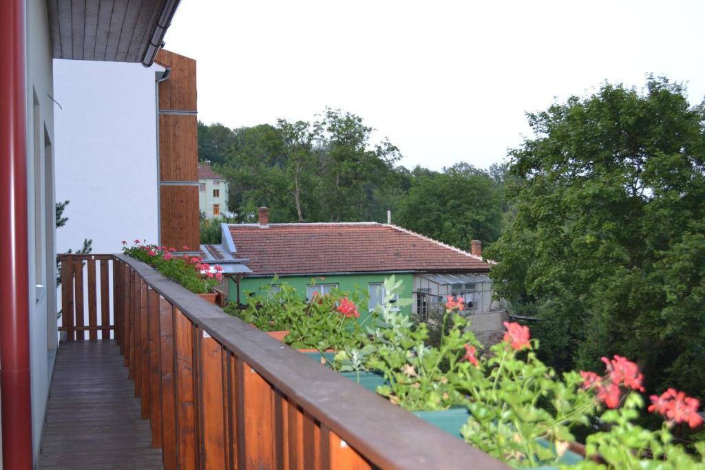 Levandule Brno Bagian luar foto
